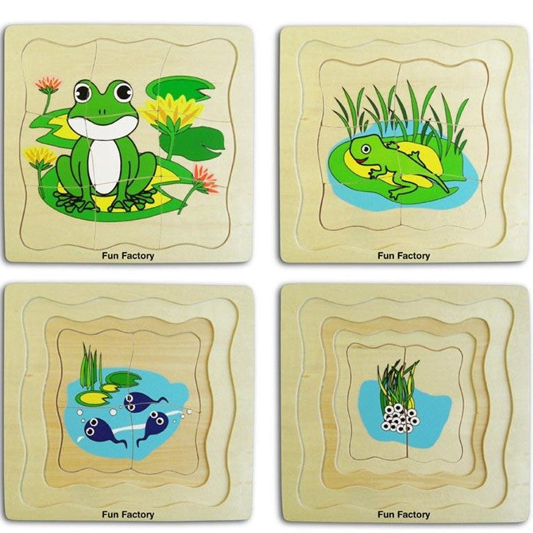 wooden lifecycle puzzle frog