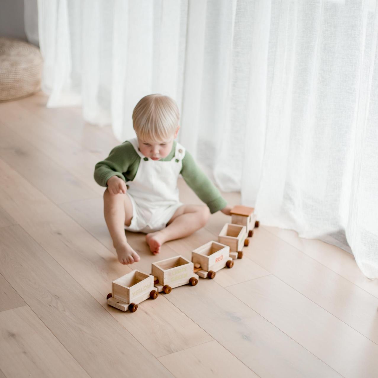 QToys - Wooden Sorting Train