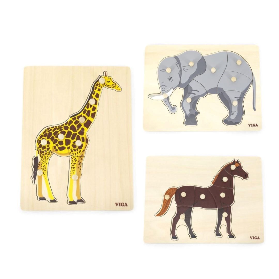 Montessori Peg Puzzles