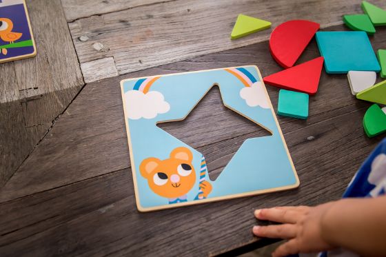 Djeco - Wooden Tangram Puzzle