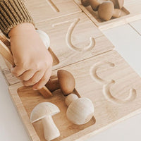 Thumbnail for QToys - Jumbo Counting Trays