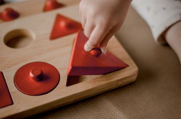 QToys - Montessori Shape Puzzle