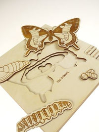 Thumbnail for Stuka Puka - Butterfly Lifecycle Puzzle