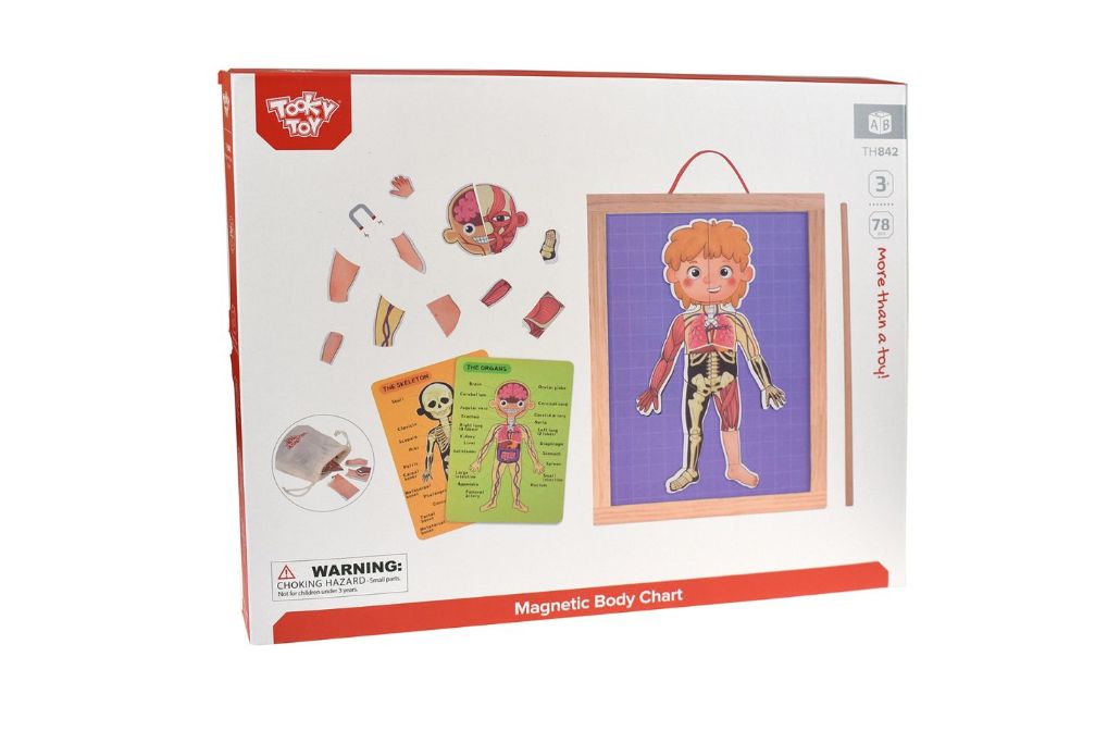 Tooky Toy - Magnetic Body Chart